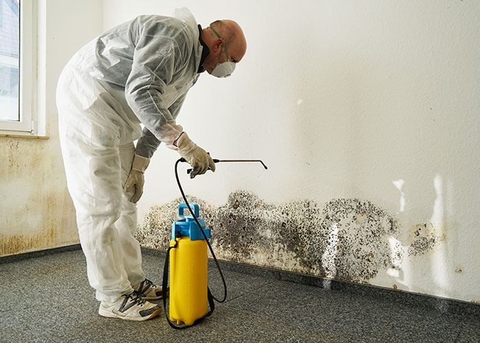 mold remediation